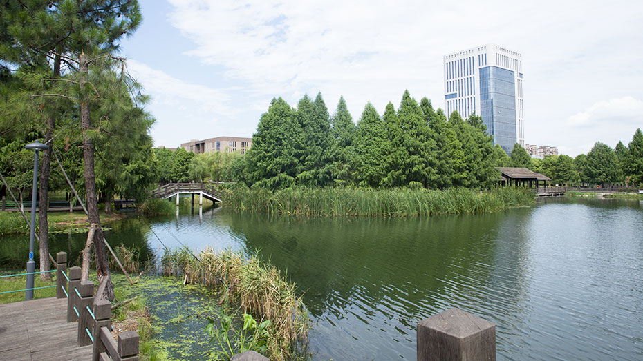 中新生态城湿地公园园林案例