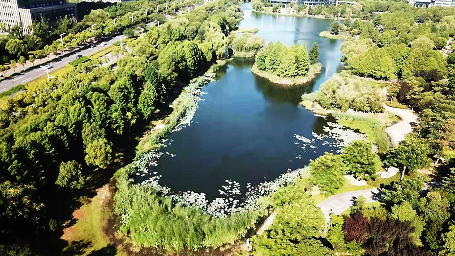中新生态城湿地公园园林案例